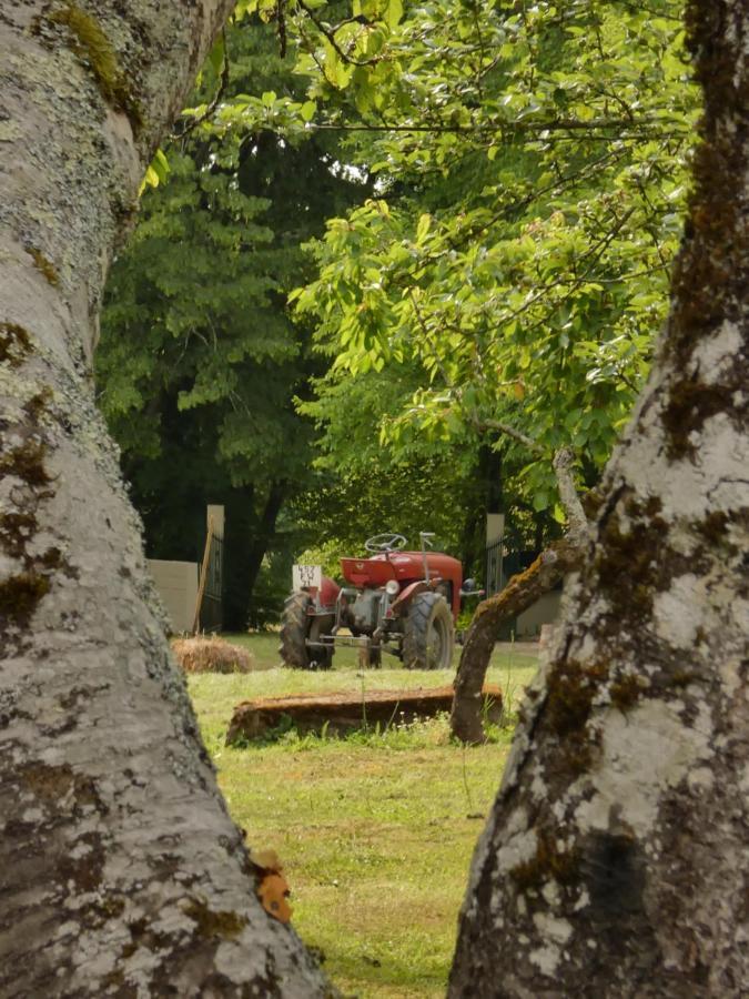 Domaine Du Venet Villa Montcony Dış mekan fotoğraf